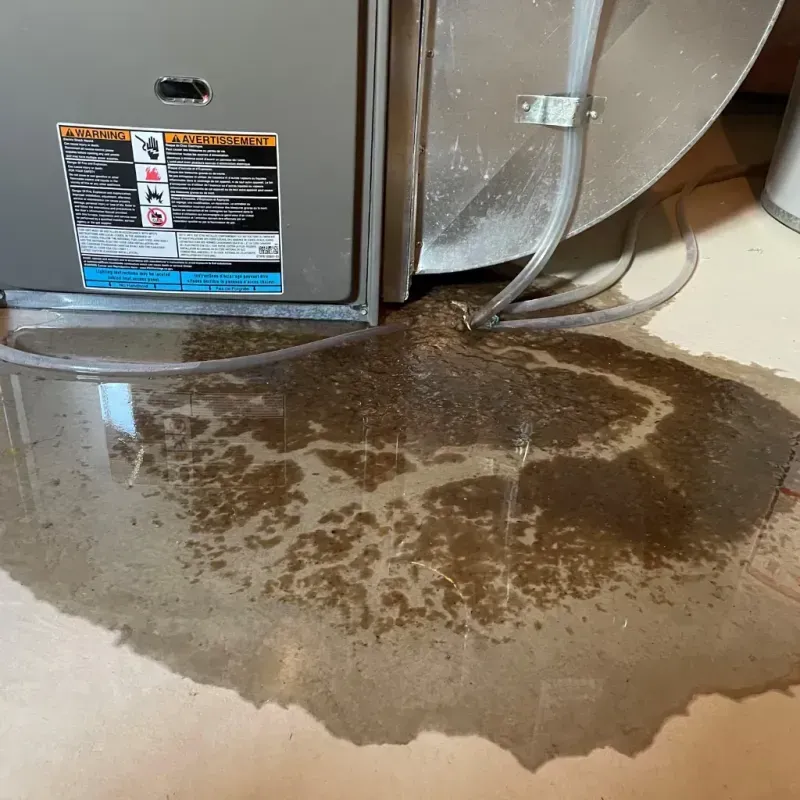 Appliance Leak Cleanup in Dauphin Island, AL